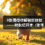 膀胱切开术全攻略(图2)