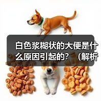 白色浆糊状大便原因与治疗全攻略(图4)