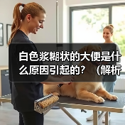 白色浆糊状大便原因与治疗全攻略(图2)