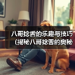 八哥捻舌的乐趣与技巧全攻略