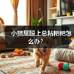 小猫屁股上总粘粑粑怎么办?(图3) 小猫屁股粘粑粑怎么办全攻略(图3)