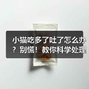 小猫吃多了吐了怎么办全攻略(图2)