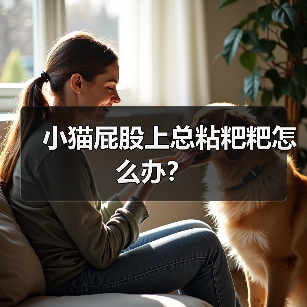 小猫屁股上总粘粑粑怎么办?(图2) 小猫屁股粘粑粑怎么办全攻略(图2)