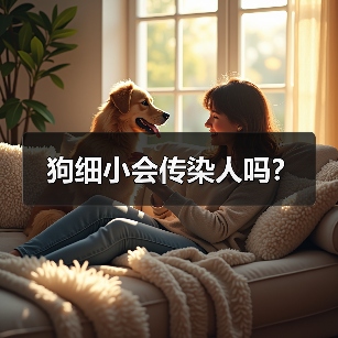 犬细小会传染人吗全攻略(图4)