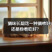 猫咪长期吃一种猫粮好还是换着吃好?(图4) 猫咪长期吃一种猫粮好还是换着吃好全攻略(图4)