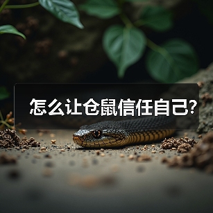 怎么让仓鼠信任自己?(图3) 仓鼠怎么养全攻略(图3)