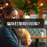 猫咪打架如何劝架?(图3) 猫咪打架如何劝架全攻略(图3)