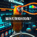 猫咪打架如何劝架全攻略