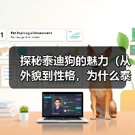 探秘泰迪狗的魅力(从外貌到性格,为什么泰迪狗成为宠物界的宠儿?)(图2) 探秘泰迪狗魅力全攻略(图2)