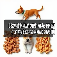 比熊掉毛的时间与原因(了解比熊掉毛的周期和生理变化,掌握科学护理方法)(图4) 比熊掉毛时间原因全攻略(图4)