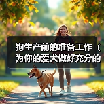 狗生产前的准备工作(为你的爱犬做好充分的准备)(图1) 狗狗生产准备全攻略(图1)