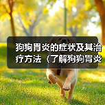 狗狗胃炎的症状及其治疗方法(了解狗狗胃炎的症状并及时采取措施保护你的爱宠)(图3) 狗狗胃炎症状与治疗全攻略(图3)