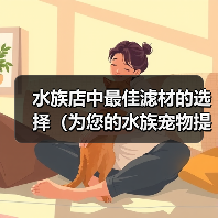 水族店中最佳滤材的选择(为您的水族宠物提供清澈透明的家园)(图3) 水族店滤材选择全攻略(图3)