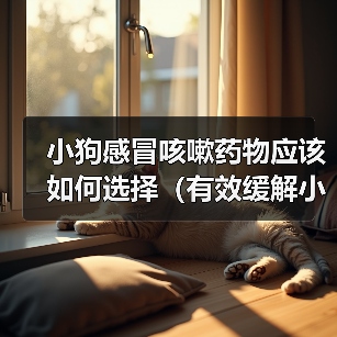小狗感冒咳嗽药物选择及使用注意事项全攻略(图2)