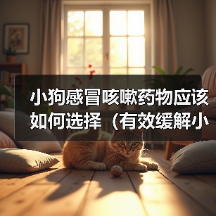 小狗感冒咳嗽药物选择及使用注意事项全攻略(图4)