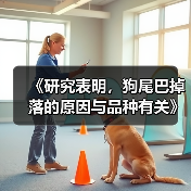 《研究表明,狗尾巴掉落的原因与品种有关》(探索狗尾巴掉落的关键因素以及如何预防)(图3) 狗尾巴掉落原因与品种有关全攻略(图3)