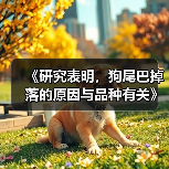 《研究表明,狗尾巴掉落的原因与品种有关》(探索狗尾巴掉落的关键因素以及如何预防)(图2) 狗尾巴掉落原因与品种有关全攻略(图2)