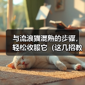 与流浪猫混熟的步骤,轻松收服它(这几招教你成为流浪猫的朋友)(图4) 与流浪猫混熟全攻略(图4)