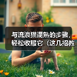 与流浪猫混熟的步骤,轻松收服它(这几招教你成为流浪猫的朋友)(图3) 与流浪猫混熟全攻略(图3)
