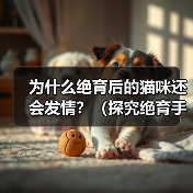 为什么绝育后的猫咪还会发情?(探究绝育手术后猫咪发情的原因)(图2) 绝育后猫咪为何还发情全攻略(图2)