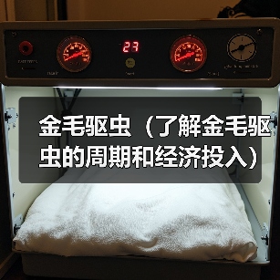 金毛驱虫(了解金毛驱虫的周期和经济投入)(图3) 金毛驱虫周期费用投入全攻略(图3)