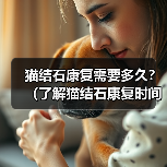 猫结石康复需要多久?(了解猫结石康复时间的关键因素。)(图4) 猫结石康复需要多久全攻略(图4)