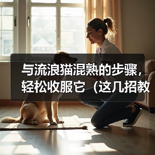 与流浪猫混熟的步骤,轻松收服它(这几招教你成为流浪猫的朋友)(图2) 与流浪猫混熟全攻略(图2)