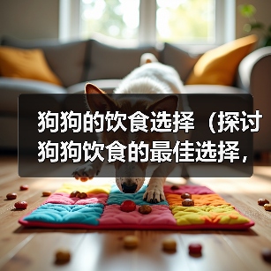 狗狗的饮食选择米饭与狗粮全攻略