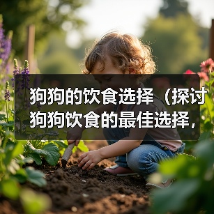 狗狗的饮食选择(探讨狗狗饮食的最佳选择,米饭与狗粮)(图3) 狗狗的饮食选择米饭与狗粮全攻略(图3)