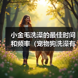 小金毛洗澡的最佳时间和频率(宠物狗洗澡有讲究,别错过最佳时机!)(图2) 小金毛洗澡最佳时间和频率全攻略(图2)
