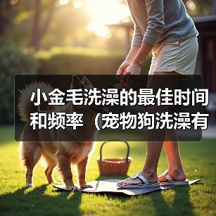 小金毛洗澡的最佳时间和频率(宠物狗洗澡有讲究,别错过最佳时机!)(图3) 小金毛洗澡最佳时间和频率全攻略(图3)