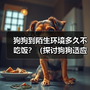 狗狗到陌生环境多久不吃饭?(探讨狗狗适应陌生环境后的饮食问题)(图2) 狗狗到陌生环境多久不吃饭全攻略(图2)