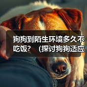 狗狗到陌生环境多久不吃饭?(探讨狗狗适应陌生环境后的饮食问题)(图4) 狗狗到陌生环境多久不吃饭全攻略(图4)