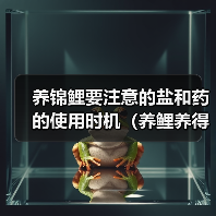 养锦鲤盐药使用时机｜养护全攻略