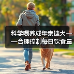 成年泰迪犬科学喂养指南｜饮食控制全攻略(图3)
