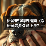 松鼠宠物饲养指南(以松鼠养多久能上手?——解决你对松鼠宠物的疑惑)(图2) 松鼠宠物饲养全攻略|上手时间与技巧解析(图2)