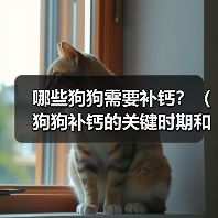 哪些狗狗需要补钙?(狗狗补钙的关键时期和方法)(图2) 哪些狗狗需要补钙|补钙关键期与科学方法全解析(图2)