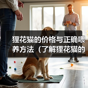 狸花猫价格与喂养指南｜全面解析养猫要点(图3)