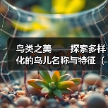 鸟类之美｜探索多样化鸟儿名称与特征全攻略(图3)