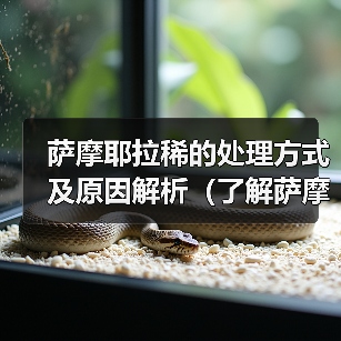萨摩耶拉稀原因与处理方法｜宠物健康实用指南