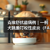 犬跳蚤叮咬性皮炎病例分析｜综合治疗全攻略(图1)