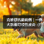 犬跳蚤叮咬性皮炎病例分析｜综合治疗全攻略(图3)