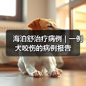 犬咬伤感染治疗案例｜保守疗法应用分析