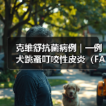 犬跳蚤叮咬性皮炎病例分析｜综合治疗全攻略(图4)
