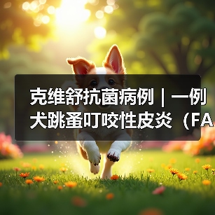 犬跳蚤叮咬性皮炎病例分析｜综合治疗全攻略(图2)