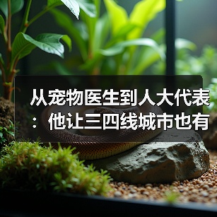 宠物医生转型人大代表｜三四线城市宠物医疗发展新方向(图2)