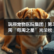 瑞辰宠物医院集团 | 第3周“每周之星”光荣榜(图4) 瑞辰每周之星评选结果|榜样力量激励团队成长(图4)