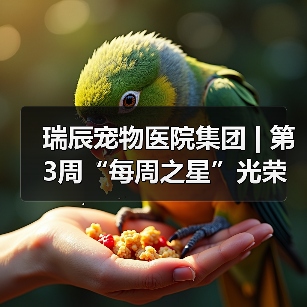 瑞辰宠物医院集团 | 第3周“每周之星”光荣榜(图3) 瑞辰每周之星评选结果|榜样力量激励团队成长(图3)