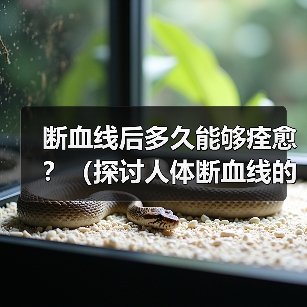 断血线恢复时间影响因素解析｜全面指南(图3)