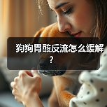 狗狗胃酸反流症状与缓解方法｜实用指南